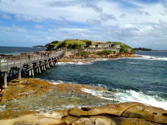 Rustic Single - Centrally Located - Shared Bathroom Guest house Sydney