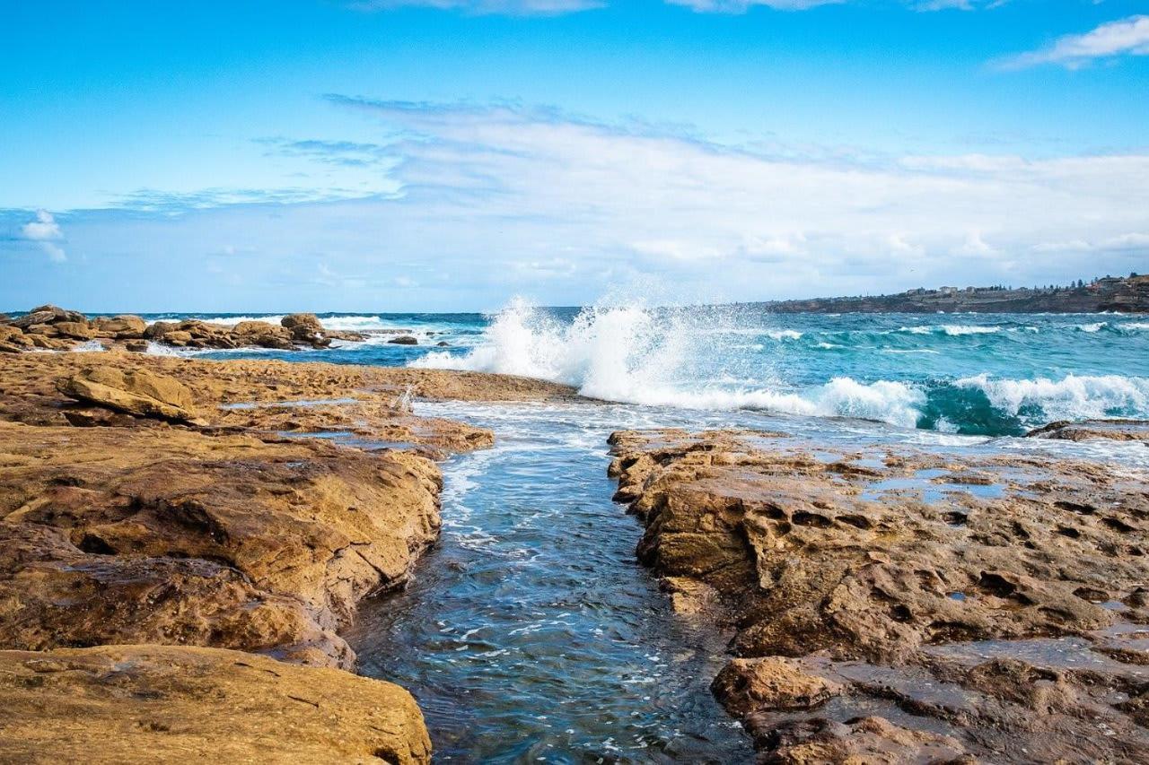 Rustic Single - Centrally Located - Shared Bathroom Sydney